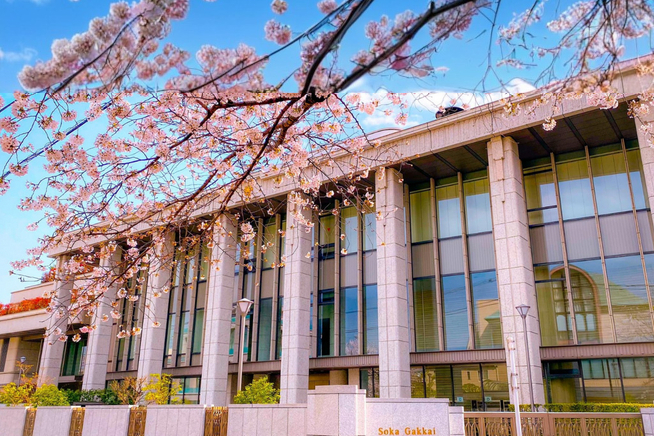 Le Hall du Grand Voeu au printemps. [© Seikyo Shimbun]