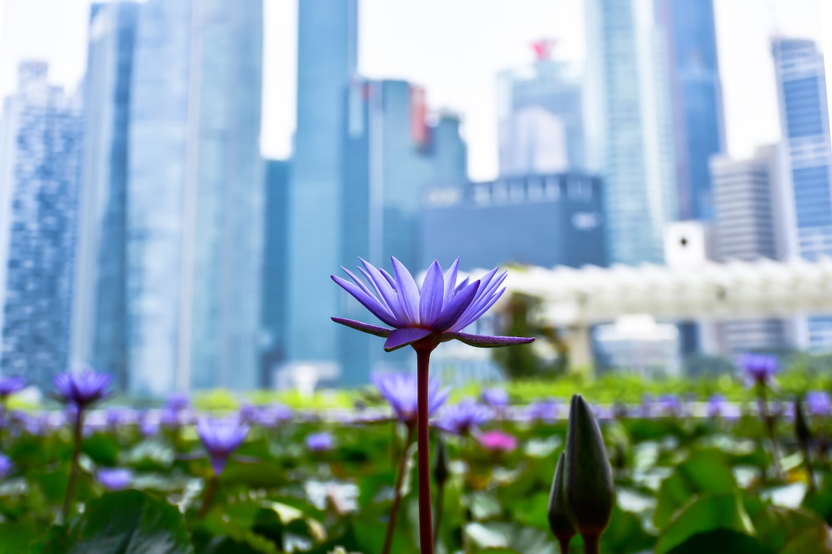 Marina Bay, Singapour. [Robs /Unsplash CC]